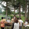 Bild 1 478